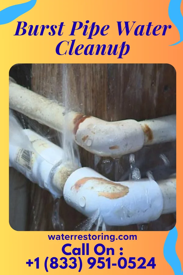 Burst Pipe Water Cleanup in Brandonville, PA