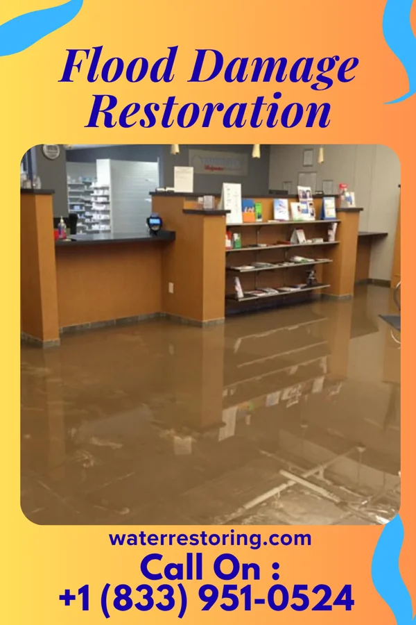 Flood Damage Restoration in Brandonville, PA