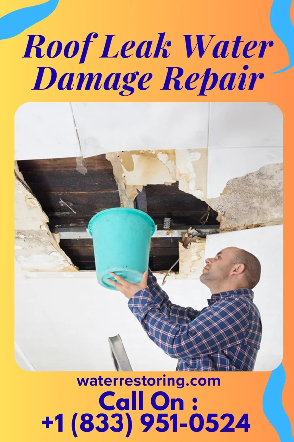 Roof Leak Water Damage Repair in Brandonville, PA