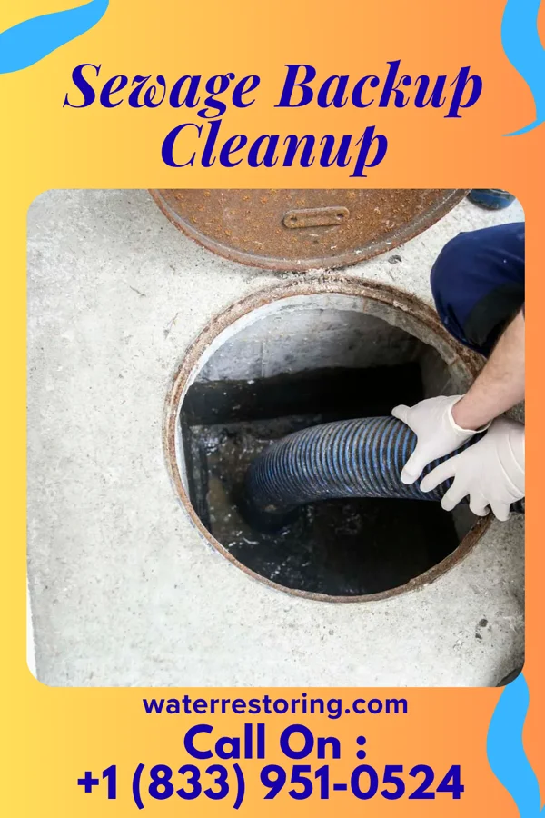 Sewage Backup Cleanup in Brandonville, PA